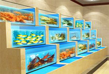 訂做酒店海鮮池魚缸