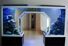 定制異形魚缸